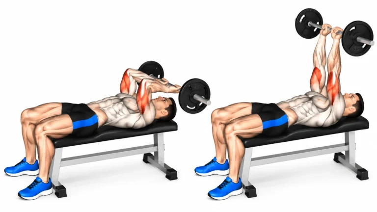 Extension triceps à la barre, deux phases du mouvement, triceps sollicité