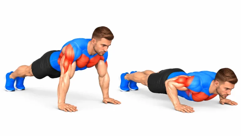 Pompes : position haute bras tendus et position basse poitrine proche du sol, pectoraux et triceps sollicités