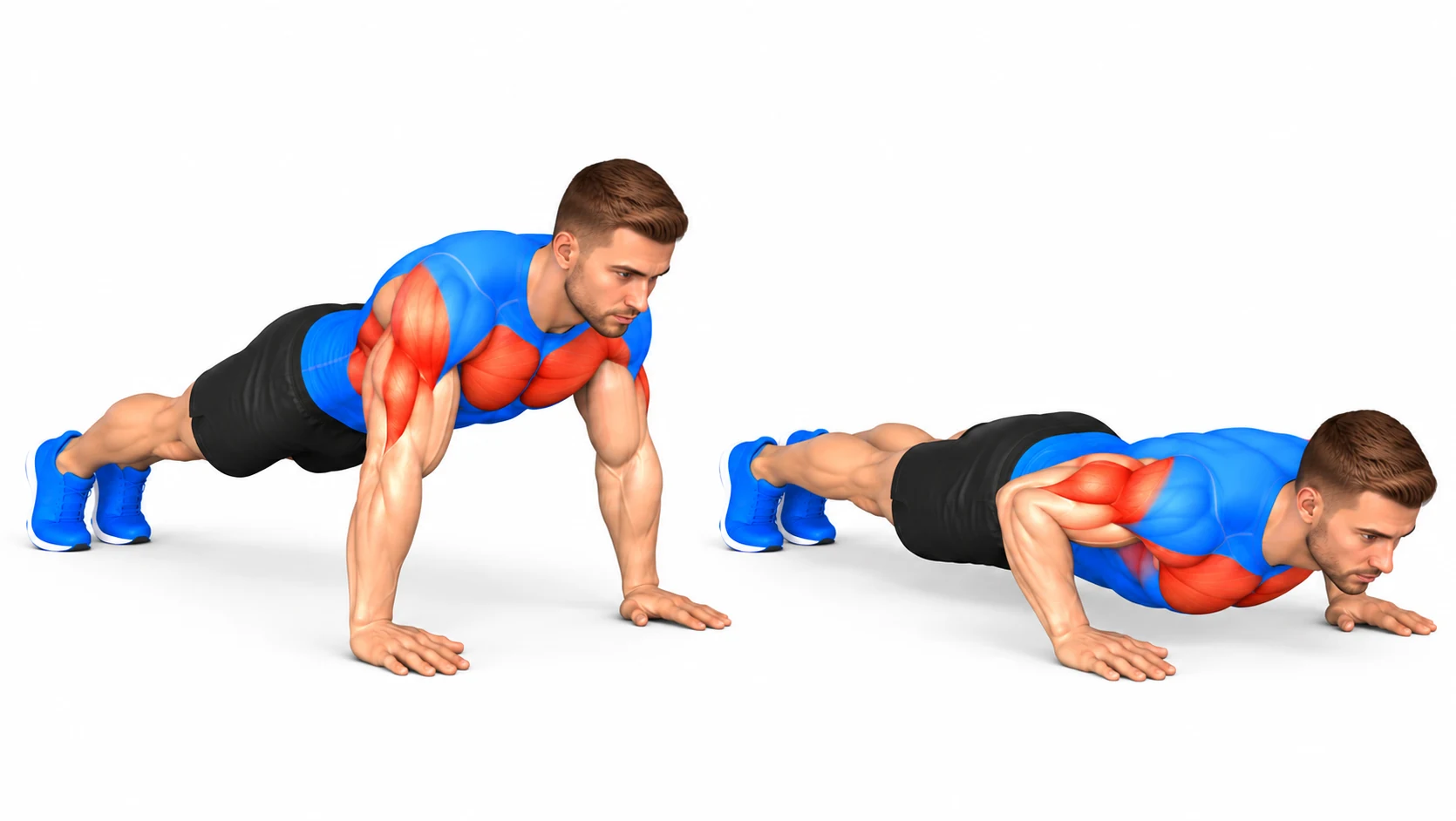 Pompes : technique, muscles sollicités et programme de progression