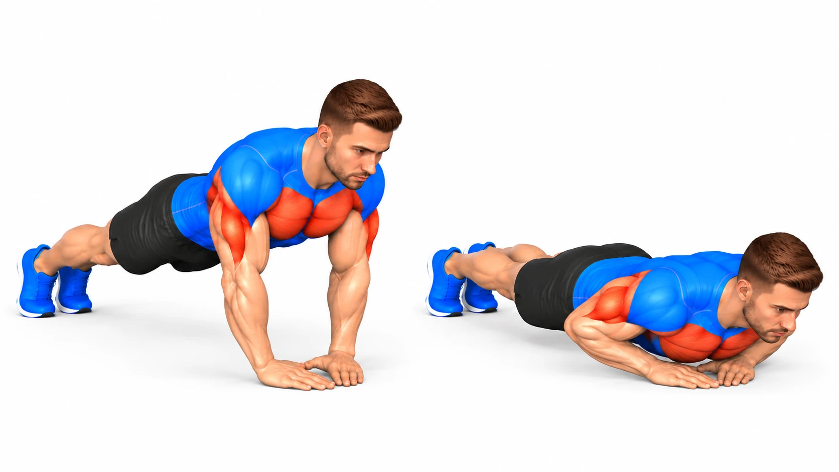 Pompes diamant : position haute et position basse, mains rapprochées sous la poitrine formant un losange, triceps fortement sollicités
