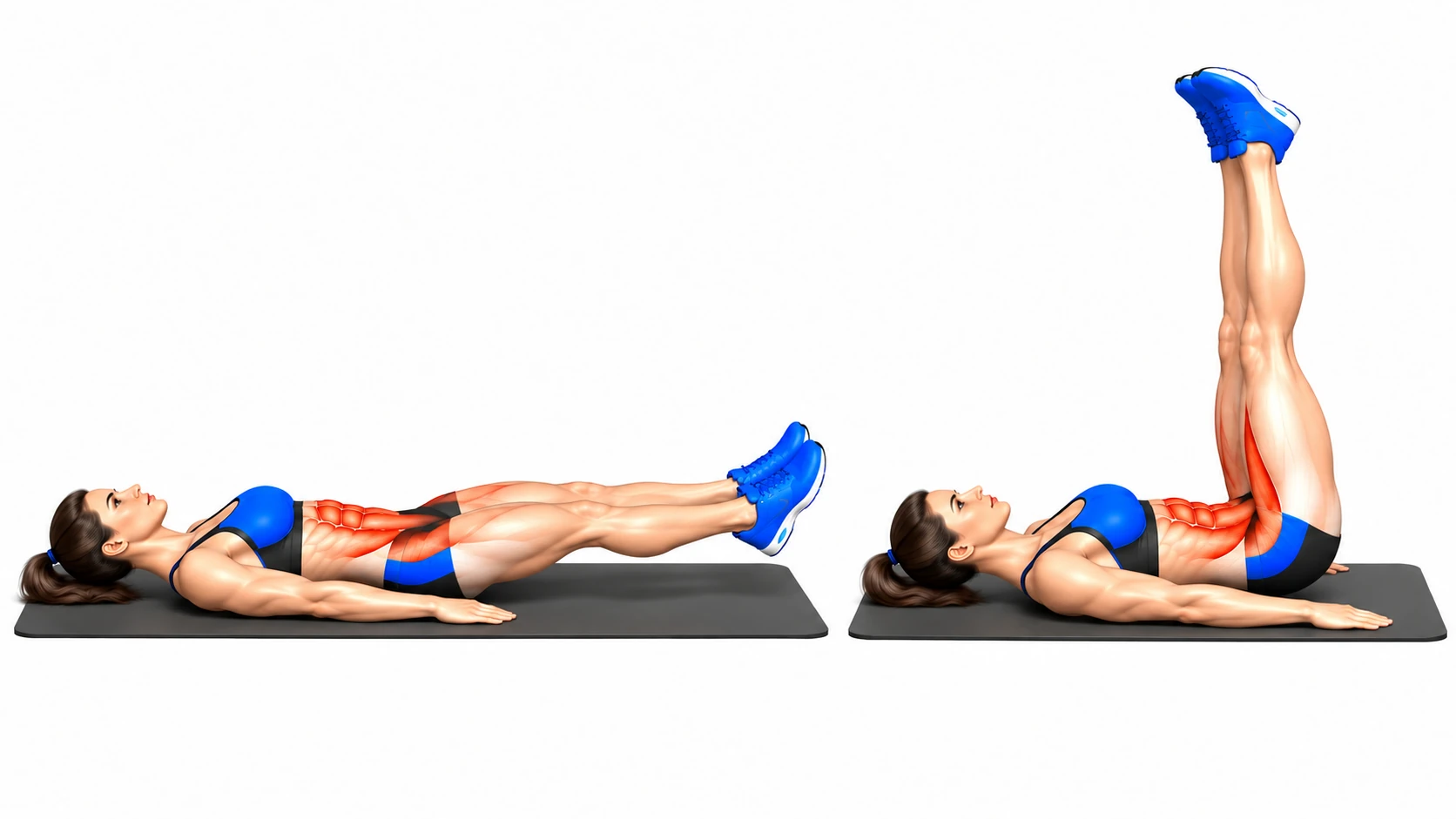 Relevé de jambes allongé au sol : position basse et position haute, abdominaux sollicités